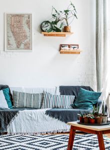 A cozy living room with large plants, a sofa with blue and gray pillows, wall shelves, and a coffee table on a patterned rug by a large window.