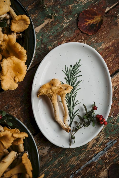 A white plate with mushrooms and sprigs of rosemary and red berries sits on a weathered wooden surface, surrounded by other plates of mushrooms.