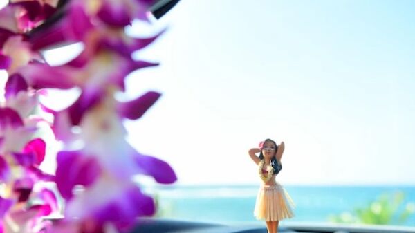 The image shows a dashboard with a hula girl figurine and a flower lei draped over the camera, against a backdrop of the ocean.