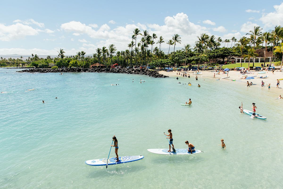 People are paddleboarding and swimming in a tropical beach setting with palm trees, clear waters, and a sunny sky in the background.