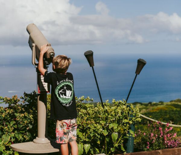 A child looks through a coin-operated viewer at a scenic overlook with a view of the ocean, and torches are nearby.