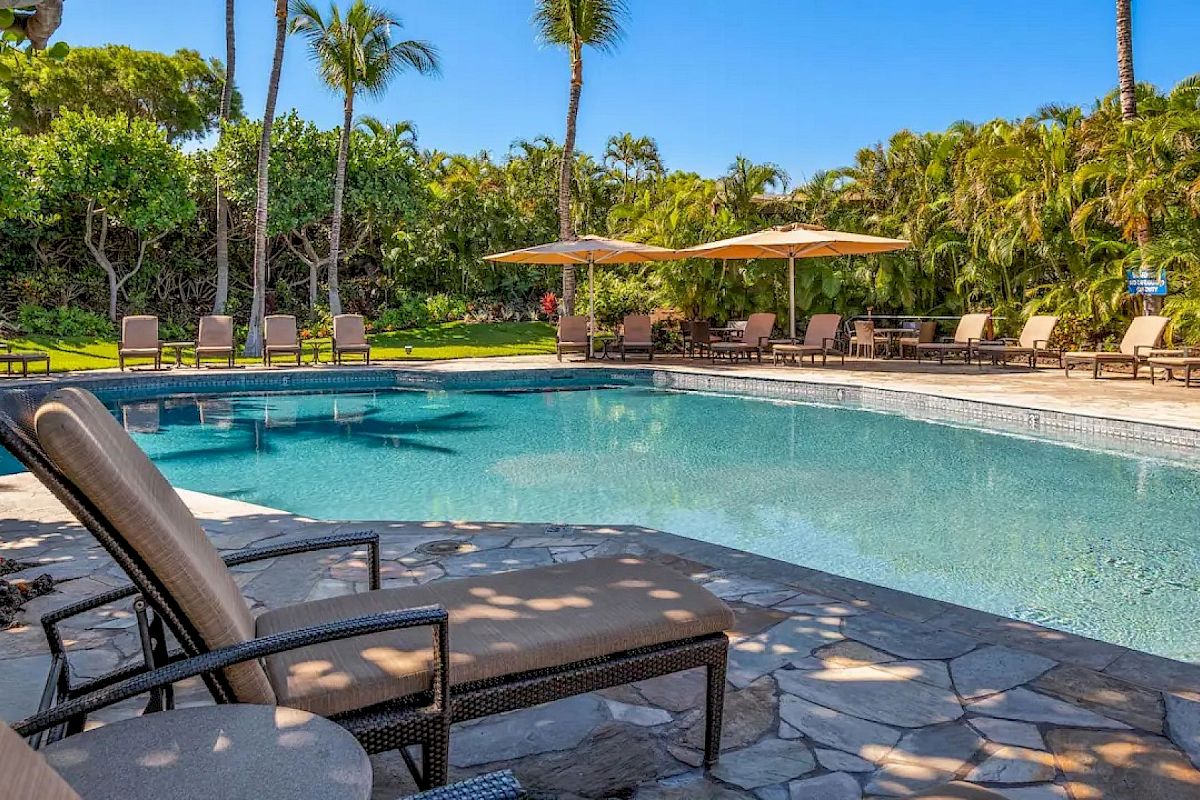 A serene outdoor pool area with lounge chairs, umbrellas, and surrounding lush greenery creates a relaxing oasis under a clear, sunny sky.
