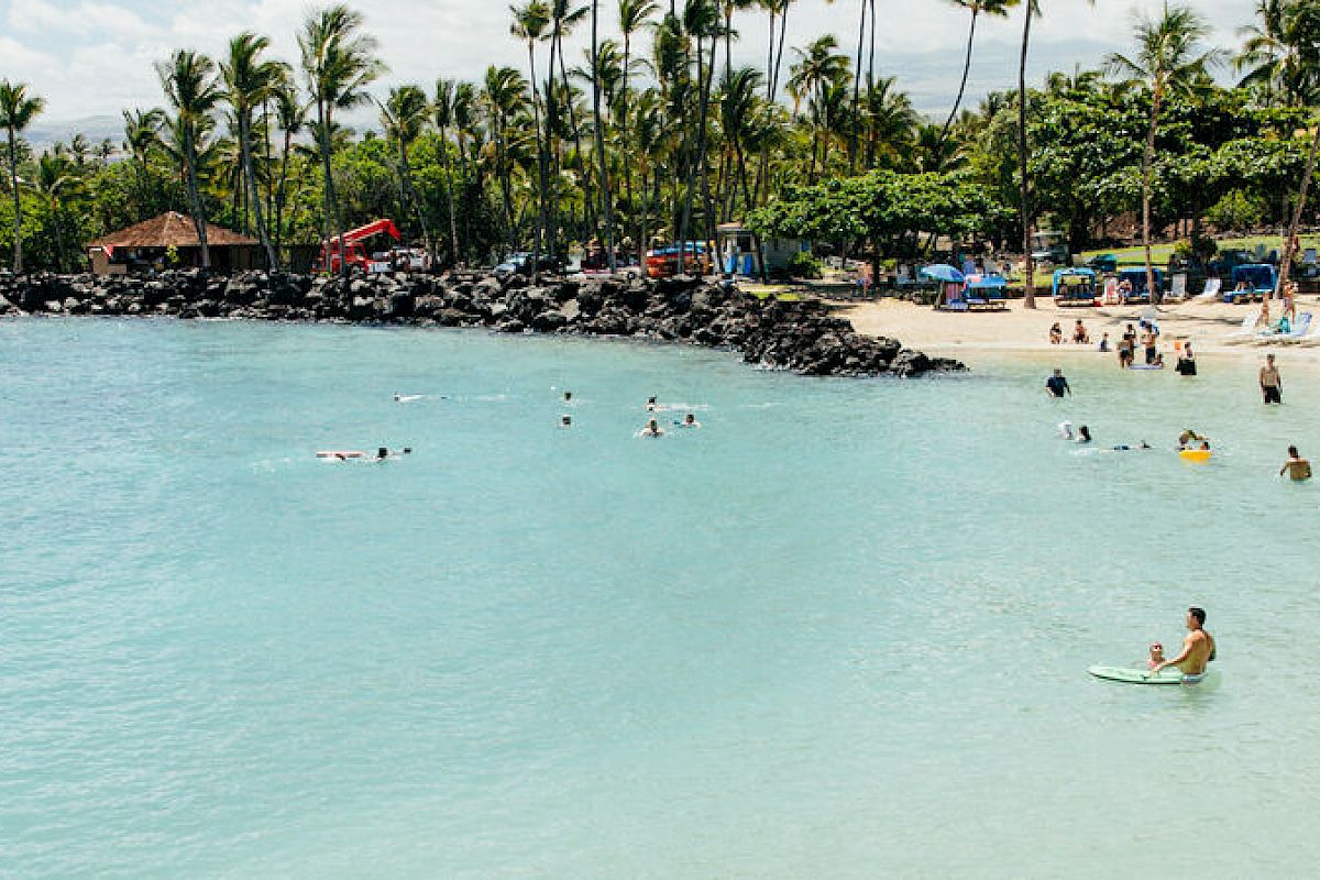 A beach scene with people swimming, paddleboarding, and relaxing on the sand. Palm trees and greenery line the background under a partly cloudy sky.