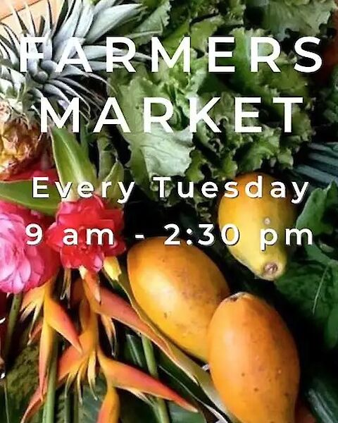 Text overlaying fruits and vegetables announces a Farmers Market every Tuesday from 9 am to 2:30 pm.