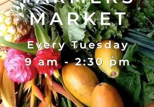 Text overlaying fruits and vegetables announces a Farmers Market every Tuesday from 9 am to 2:30 pm.