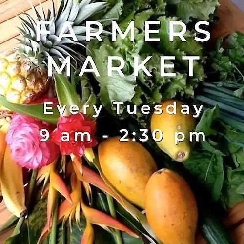Text overlaying fruits and vegetables announces a Farmers Market every Tuesday from 9 am to 2:30 pm.