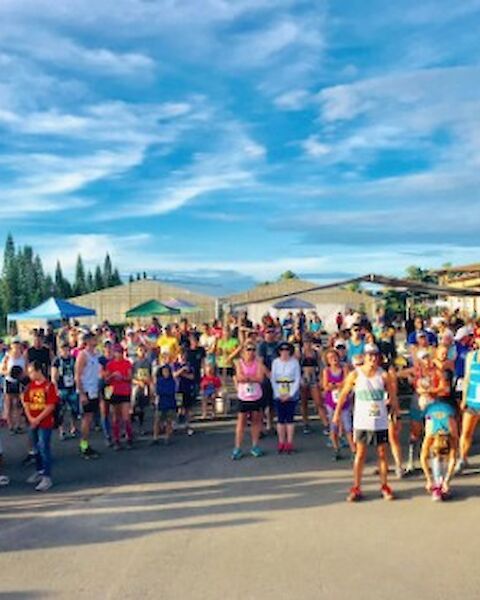 A crowd of people, including runners, is gathered outdoors under a blue sky with tents and trees in the background.