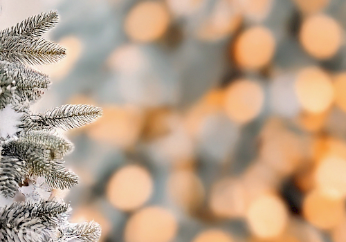 Frosty pine branches on the left, icy needles glittering; warm blurred golden lights glow softly in the background, creating a cozy holiday vibe.