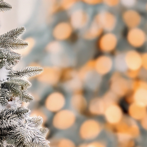 Frosty pine branches on the left, icy needles glittering; warm blurred golden lights glow softly in the background, creating a cozy holiday vibe.