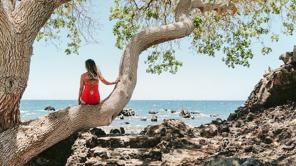 A woman in a red swimsuit sits on a curved tree trunk by rocky shore, with the ocean and blue sky in the background.