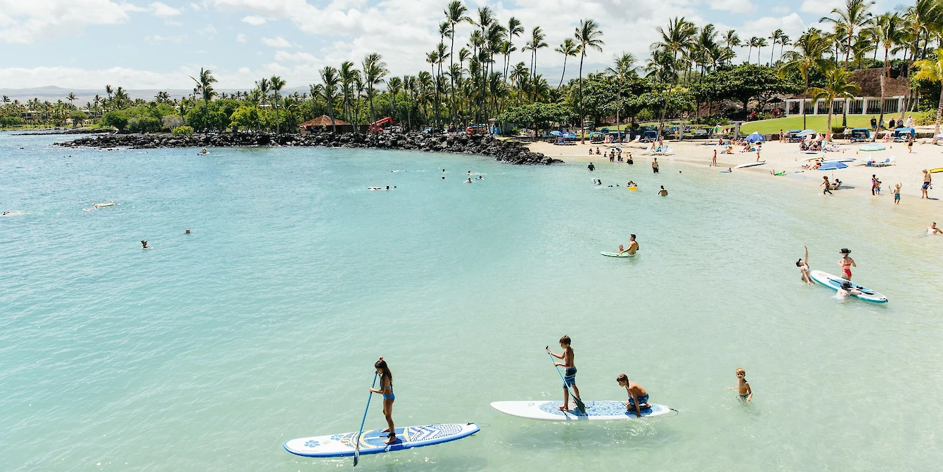 A sunny beach scene with palm trees, people swimming and paddleboarding in clear blue water, and a relaxed shoreline with loungers.