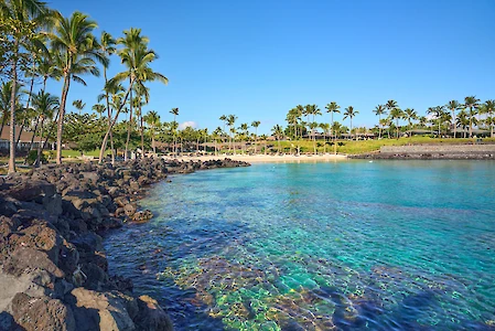 A tropical coastline with turquoise water, rocky shoreline, and a line of palm trees under a bright blue sky, sunny and inviting.
