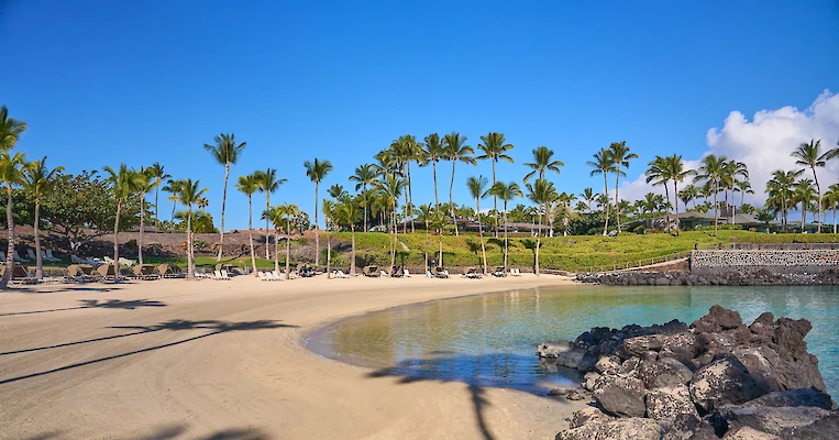 A sunny beach with palm trees, clear blue water, sandy shore, and rocks along the edge, under a bright sky.